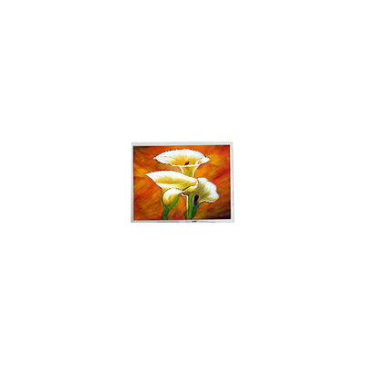İyi bir fiyat. T-55694D106J-LW-A-AAN 10.6 inç 1280*768 1000 cd/m2 LCD Ekran çevrimiçi