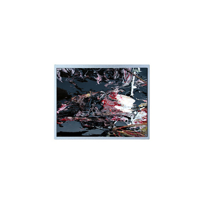 İyi bir fiyat. P1210WXF1MA01 12.1 inç LVDS TFT LCD Panel Modülü çevrimiçi