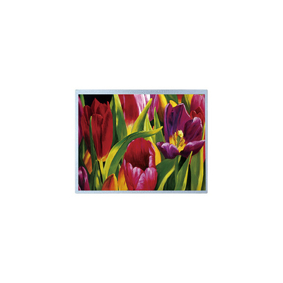 İyi bir fiyat. Yüksek Kalite 14.0 inç P1400FHF1MA00 TFT LCD ekran Panelli çevrimiçi