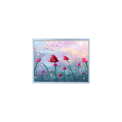 İyi bir fiyat. P1900SXF1MA00 TFT LCD ekranı çevrimiçi