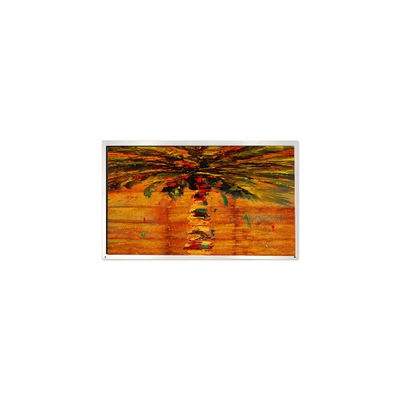 İyi bir fiyat. HM150X01-N01-1QP1 15.0 inç 1024*768 Dijital İşaret için LCD Panelli çevrimiçi