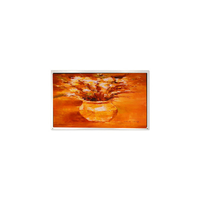 İyi bir fiyat. QV101WUM-N80 Sağlık için 10.1 inç 1920*1200 LCD Panel çevrimiçi
