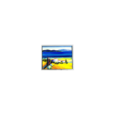 İyi bir fiyat. HSD050JDW2-C10-0220 800*480 5.0 inç LCD Ekran Ekranı çevrimiçi