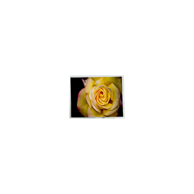 İyi bir fiyat. Yeni 9.7 inç HSD097HXN2-A00 1024*682 LCD Ekran Paneli çevrimiçi