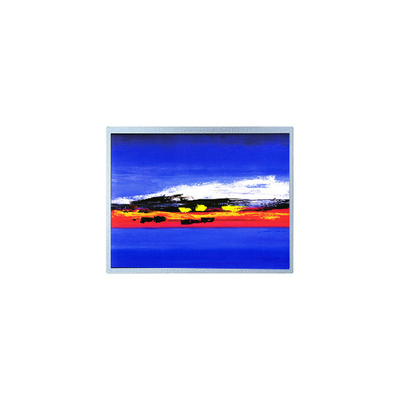 İyi bir fiyat. 1920*720 12.3 inç HSD123JPW2-F10 LCD ekran modülü çevrimiçi
