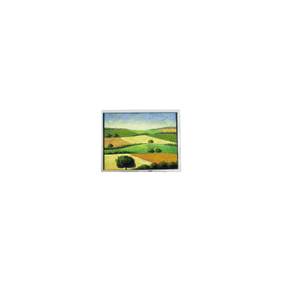 İyi bir fiyat. Orijinal 480*272 ET043001DM6 4.3 inç LCD Panel LCD Display çevrimiçi