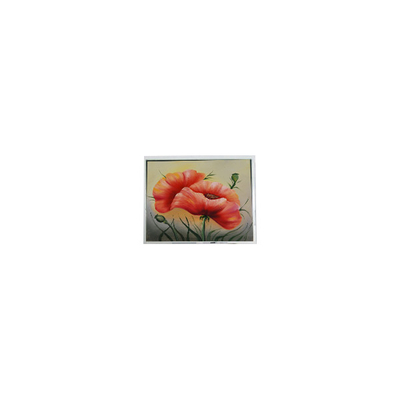 İyi bir fiyat. Yeni 7.0 inç ETM070001BDHA 800*480 PCAP LCD ekran modülü çevrimiçi