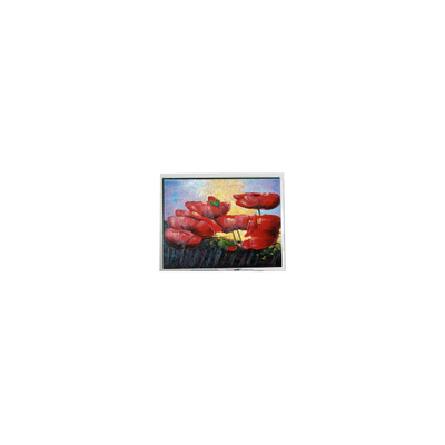 İyi bir fiyat. 5.7 inç 320*240 EW50352BCW LCD Panel LCD monitör çevrimiçi