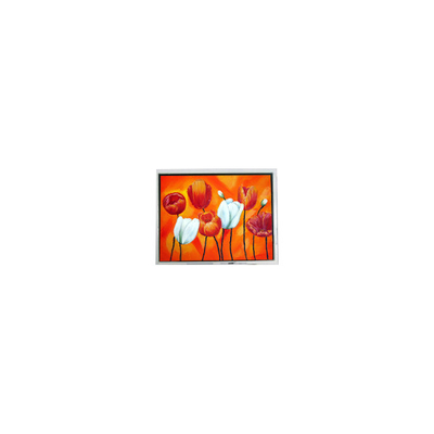 İyi bir fiyat. EW50397BCW 4.7 inç küçük 320*240 75Hz LCD Panel LCD ekran çevrimiçi