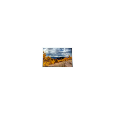 İyi bir fiyat. COM37H3P47UTC 3.7 inç 480*640 LCD Panel Ekran Endüstriyel çevrimiçi