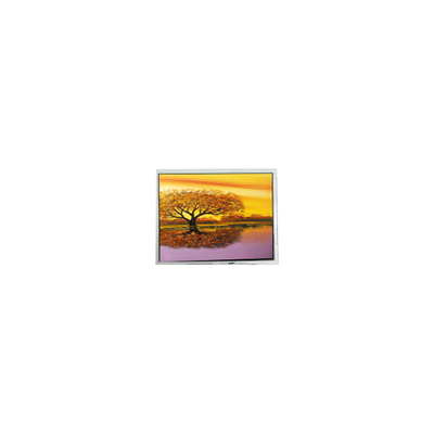 İyi bir fiyat. Sıcak satış 640*480 COM57H5M84XRC 5.7 inç 60Hz LCD Ekran çevrimiçi