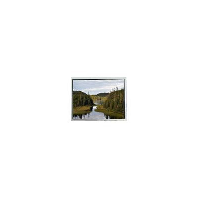 İyi bir fiyat. 2.0 inçlik LCD ekran 20QVF0H El cihazı için LCD monitör çevrimiçi