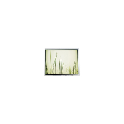 İyi bir fiyat. 24QVF2H 2.4 inç 240*320 300 cd/m2 LCD ekran monitörü Panel çevrimiçi