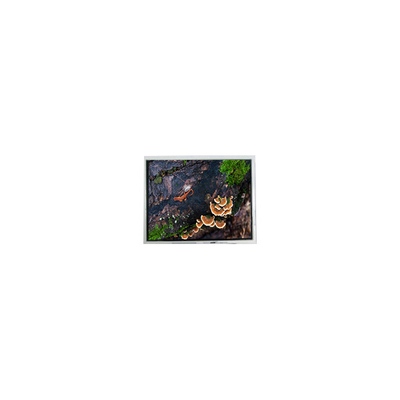 İyi bir fiyat. Yeni 3.0 inç 30WQF0H 240*400 5S1P WLED LCD ekran modülü çevrimiçi