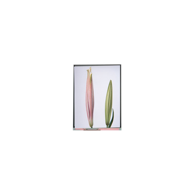 İyi bir fiyat. C080SWW3-0 Tablet için 8.0 inç TFT LCD Ekran Ekran çevrimiçi