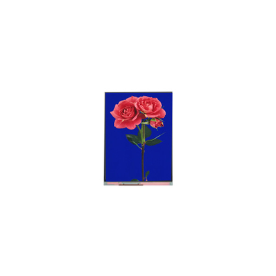 İyi bir fiyat. 800*1280 C080SWW3-1 8.0 inç TFT LCD Display FOR Pad çevrimiçi