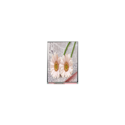 İyi bir fiyat. C084GNS1-1 800*600 Endüstriyel için 8.4 inç TFT LCD Ekranı çevrimiçi