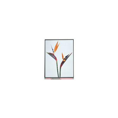 İyi bir fiyat. 9.0 inç C090NWP1 R0 800*480 TFT LCD Ekran Paneli çevrimiçi