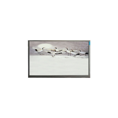 İyi bir fiyat. P101GWWF R2 Pad için 10.1 inç 1280*800 LCD Panel Ekran çevrimiçi