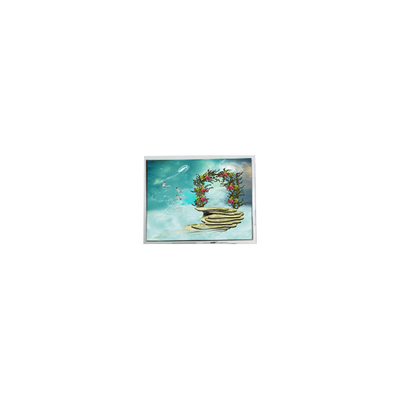 İyi bir fiyat. TFT1N5918 6.9 inç 800*480 LVDS LCD ekran Monitörü çevrimiçi