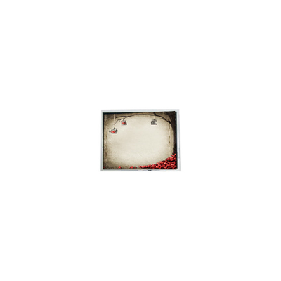 İyi bir fiyat. TFT9D6672 6.9 inç 800*480 600:1 LCD ekran modülü parçaları çevrimiçi