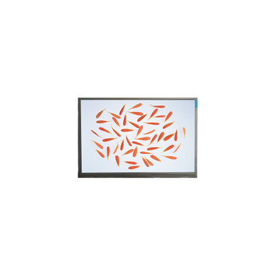 İyi bir fiyat. yeni 6.9 inç M069AWA1 R0 1280*720 LCD ekran lcd panel çevrimiçi
