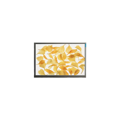 İyi bir fiyat. M090AWA7 R0 9.0 inç 1280*720 16.7M WLED LCD Panel çevrimiçi