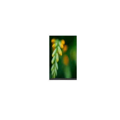 İyi bir fiyat. P080DCE-3F0 800*1280 8.0 inç LCD Ekranı Pad Tablet ile çevrimiçi