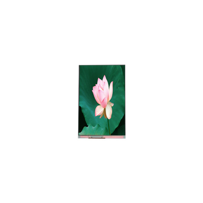 İyi bir fiyat. 1080*1920 PJ055IA-14A 5.5 inç 60Hz LCD ekran LCD Modülü çevrimiçi
