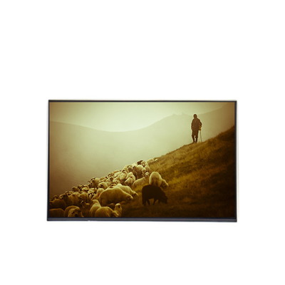 İyi bir fiyat. B170WP04 V0 17.0 inç LCD Ekran Paneli 1440*900 LCD Ekran çevrimiçi