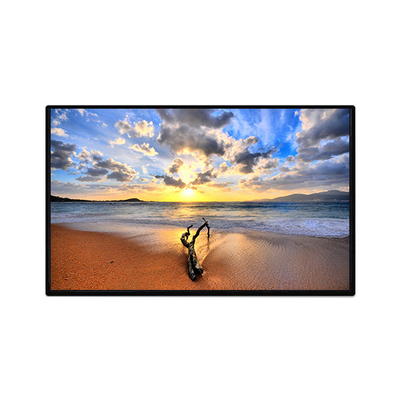İyi bir fiyat. Orijinal 1200*1920 TV101WUB-NW6 10.1 inç LCD Ekran çevrimiçi