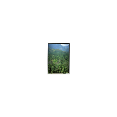 İyi bir fiyat. LS055B3SX04Z 5.5 inç 1920*3664 TFT LCD Ekran Paneli çevrimiçi