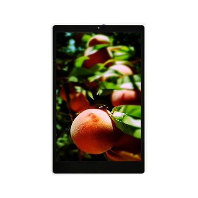 İyi bir fiyat. Yeni 800*1280 TV101WXU-N91 10.1 inçlik LCD Ekran Paneli çevrimiçi