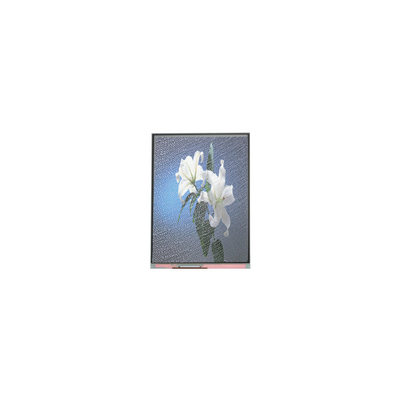 İyi bir fiyat. C090SWP1-2 Otomobil Ekranı için 9.0 inç 800*480 LCD Ekran çevrimiçi