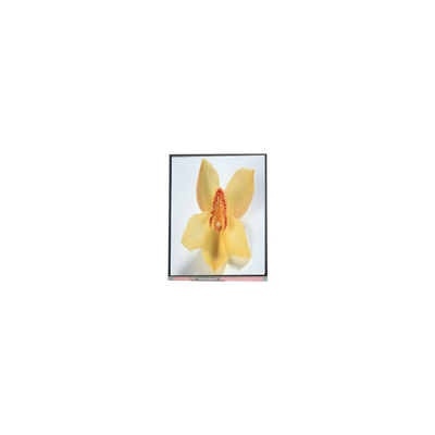 İyi bir fiyat. C050SWAN-0 5.0 inç 720*1280 LCD Ekran paneli çevrimiçi