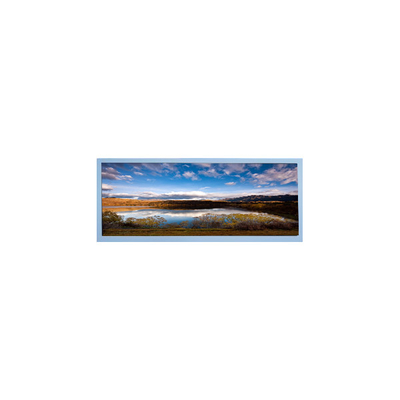 İyi bir fiyat. M102AWF2 R3 10.3 inç LCD ekran Otomobil Ekranı için TFT LCD panelli çevrimiçi