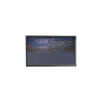İyi bir fiyat. U055SWRA-1 5,5 inçlik LCD ekran paneli 720*1440 LCD ekran modülü çevrimiçi