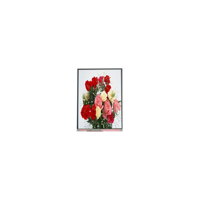 İyi bir fiyat. C065SWR4-0 Orijinal stokta 6.5 inç 540*1200 LCD Ekran çevrimiçi