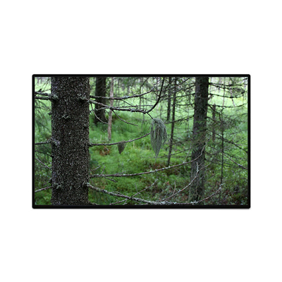 İyi bir fiyat. TV101WUB-NW1-D9P0 10.1 inç 1200*1920 LCD Panel Ekranı çevrimiçi