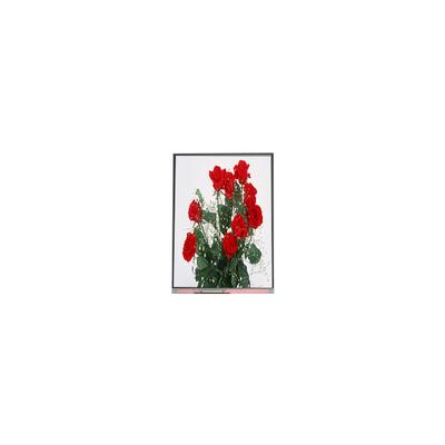 İyi bir fiyat. C065SWR1-0 6,5 inçlik LCD ekran paneli 720*1560 LCD ekran çevrimiçi