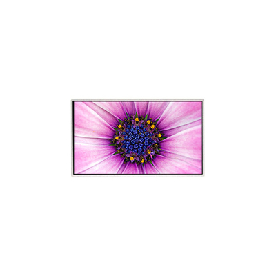 İyi bir fiyat. 7.0 inç TT070WVM-NW1 800*480 Ev Aletleri için LCD Ekran çevrimiçi