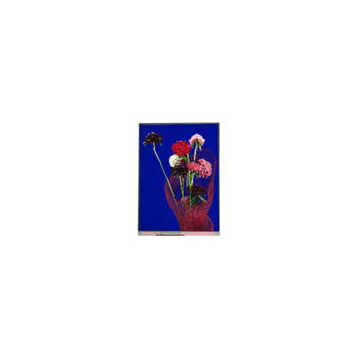 İyi bir fiyat. 5.4 inç C054SWR6-0 540*1132 telefon için LCD ekran çevrimiçi