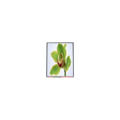 İyi bir fiyat. 5.0 inç TFT LCD ekranı 480*854 C050SWYG-3 çevrimiçi
