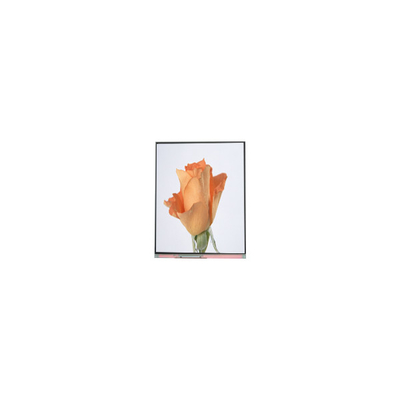İyi bir fiyat. 720*1280 C052SWA2-1 Telefon için 5.2 inçlik LCD Panel Ekran çevrimiçi
