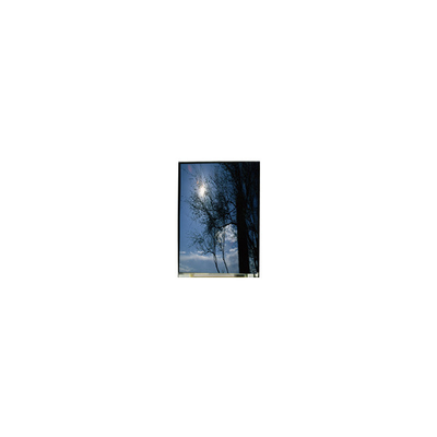 İyi bir fiyat. LS055T1SX09 5.5 inç 1080*1920 TFT-LCD LCD Ekranı çevrimiçi