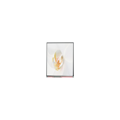 İyi bir fiyat. C050SWYD-2 5.0 inç 480*854 LCD Ekran Ekranı çevrimiçi