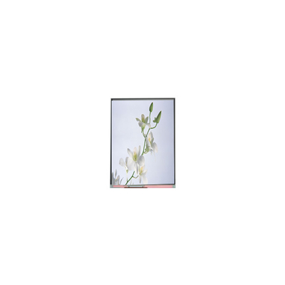 İyi bir fiyat. C060SWZ1-0 Yeni 6.0 inç 540*960 LCD Ekran Ekranı çevrimiçi