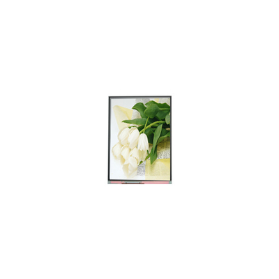 İyi bir fiyat. 5.5 inç C055SWY2 R0 LCD Ekran Paneli çevrimiçi