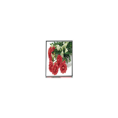İyi bir fiyat. 5.5 inç C055SWY2-1 Cep telefonu için LCD Ekranı çevrimiçi