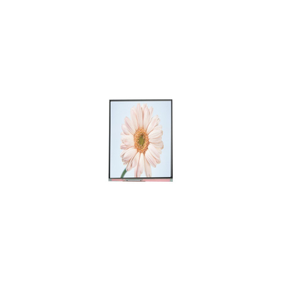 İyi bir fiyat. Yeni 720*1280 C050HWA5-1 5.0 inç LCD Ekran Modülü çevrimiçi